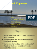 Tigris and Euphrates