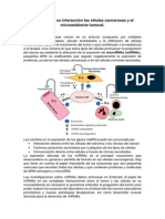 MicroRNAs y Su Interacción Las Células Cancerosas y El Microambiente Tumoral