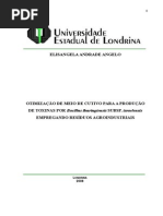OTIMIZAÇÃO DE MEIO DE CUTIVO PARA A PRODUÇÃO DE TOXINAS POR Bacillus thuringiensis SUBSP. israelensis EMPREGANDO RESÍDUOS AGROINDUSTRIAIS