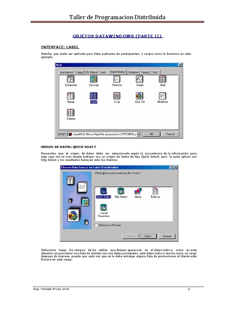 Datawindows 2 2013 | PDF | SQL | Tecnologías de la información