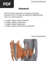 9. Abdomen