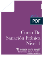 Sanacion Pranica