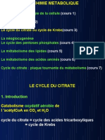 Cycle Du Citrate