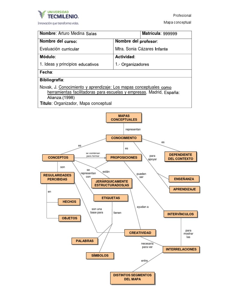 Ejemplo Mapa Conceptual Profesional | PDF