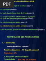 Download mtabolisme des acide amins by AE SN28209326 doc pdf