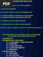 Download Biochimie Metabolique by AE SN28209356 doc pdf