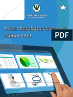 Profil Kesehatan Indonesia 2013 2