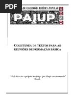 APOSTILA PAJUP - Apostila Para Formação Básica - 2010