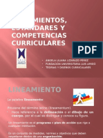Lineamientosestndaresycompetenciascurriculares 121009221533 Phpapp02