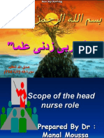 Head Nurse Role