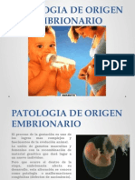 Patologia de Origen Embrionario