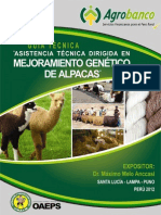 Alpaca Agrobanco DR - Melo