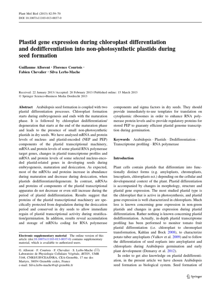 Plastid Gene Expression During Chloroplast Differentiation and