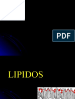 LIPIDOS