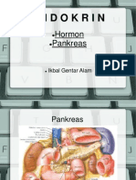 Hormon Pankreas