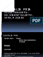 K22 - PA-genital-pria-edit