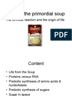 Sugar in The Primordial Soup