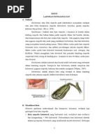 Download LAPORAN PENDAHULUAN KOLELITIASIS by HaryaniNuravindari SN282164391 doc pdf