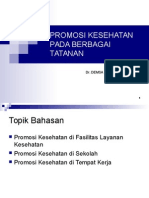 2.3 Promkes Pada Berbagai Tatanan