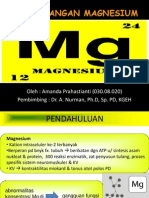 111499260-Magnesium