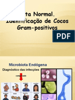 Aula Micro Bacterias Gram Positiva