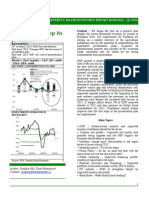 Garanti Macro Report q1 2013