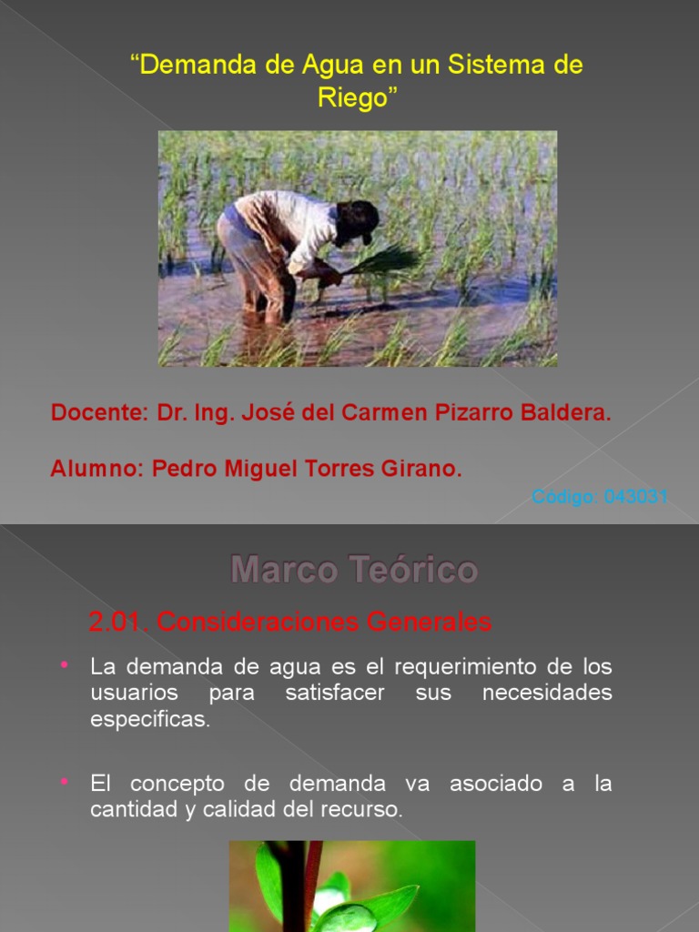 Demanda de Agua para Riego Eficiente | PDF | Riego | Agua