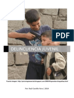 Delincuencia Juvenil, Problema Social