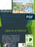 Ciclo Del Fósforo