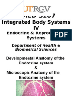 BMED 3107 Endocrine & Reproductive Systems Development