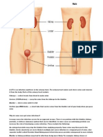 Types of UTI