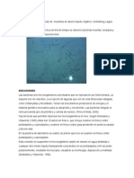 INFORME 1 OBSERVACION DE BACTERIAS jacky.docx