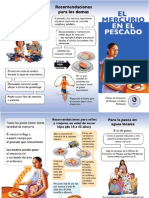 El Mercurio Brochure