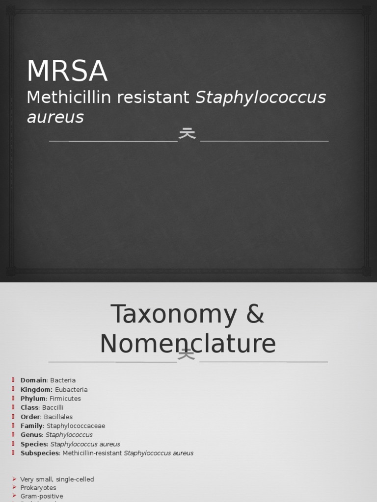 MRSA: Characteristics and Disinfection Study | PDF