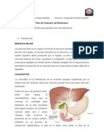 Plan de Cuidados de Enfermería