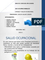 Riesgos Ocupacionales-Salud y Seguridad Ocupacional