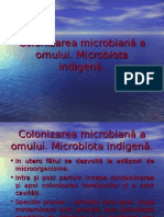 Microbiota Si Principalele Bacterii