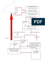 Schematic Diagram: Susceptible Person