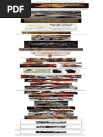 Las Raices Ocultas de La Religion – Jordan Maxwell