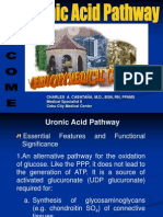 Uronic Acid Pathway For Medical Students