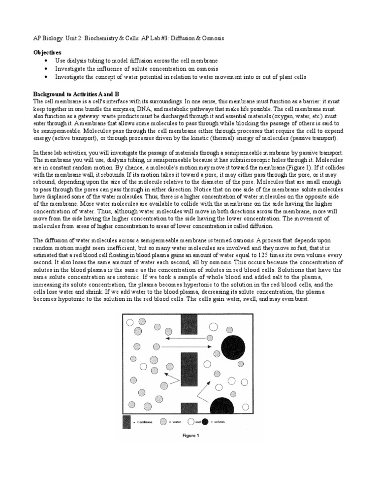 Unit 2 AP Lab #3 | PDF | Osmosis | Cell Membrane