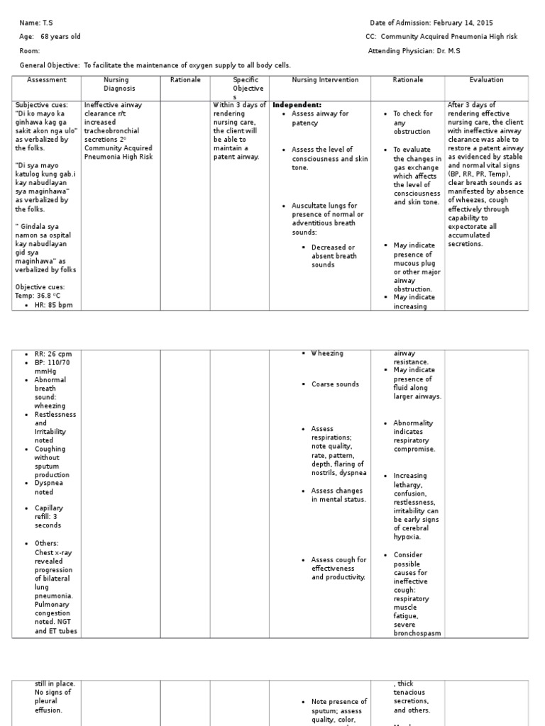 Pneumonia NCP PDF Cough Respiratory System
