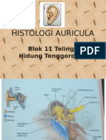 Histologi Auricula dan Struktur Telinga Dalam