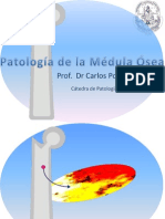 Patología de La Médula Ósea