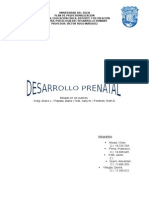 Desarrollo Prenatal.