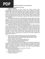 Download Gambaran Umum Pt Soci by Annisa Pertiwi SN282295425 doc pdf