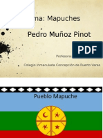 Los Mapuches