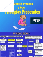 Debido Proceso