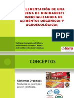 Diapositivas Proyecto PDF