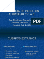 Patología de Oído Externo